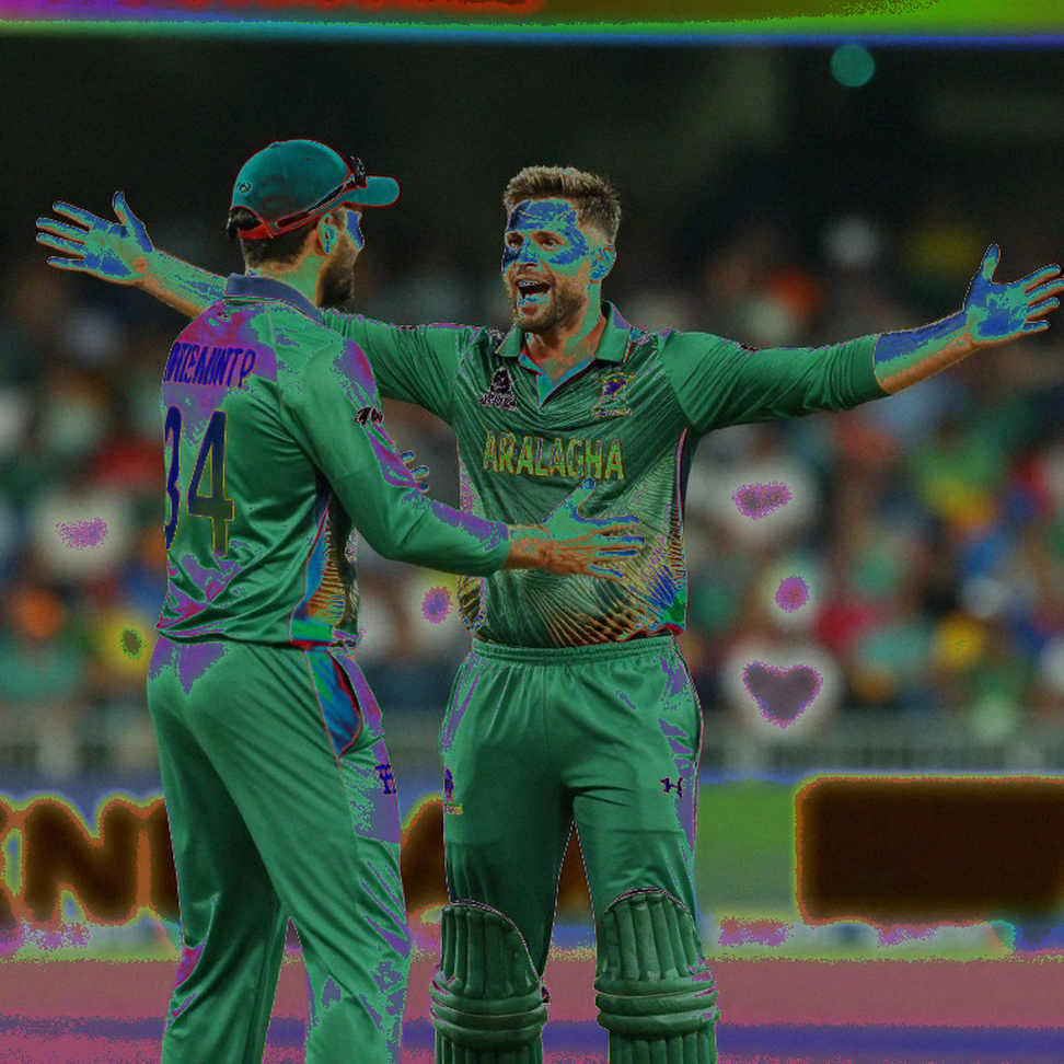 হলিউড, ১৮৪৪ আর ব্র্যাডম্যানের ৯৯.৯৪ — ক্রিকেট-ঐতিহ্যের একটি অডিট