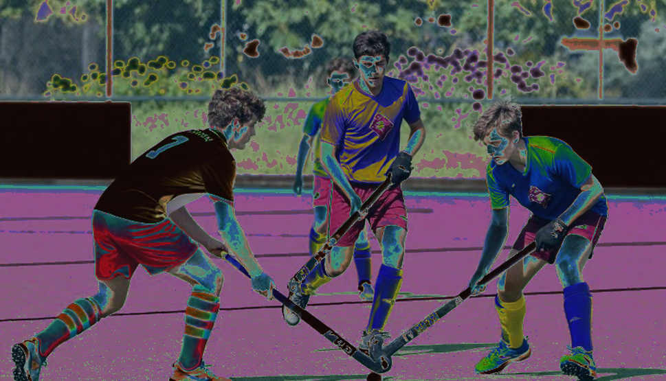 প্রাদেশিক দল, জাতীয় প্রশ্ন: গুয়াংডংয়ের পাকিস্তান সফর আসলে কী মাপছে